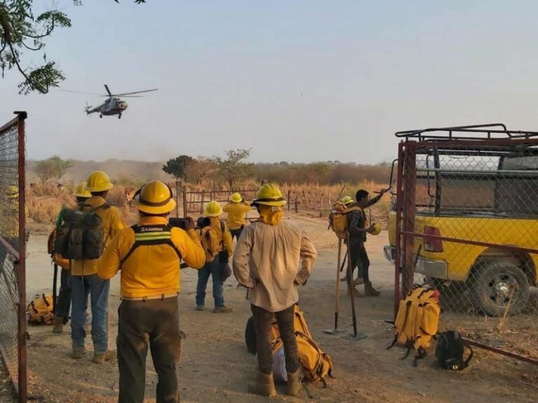 Tras 15 días activo, logran extinguir incendio en la región del Istmo