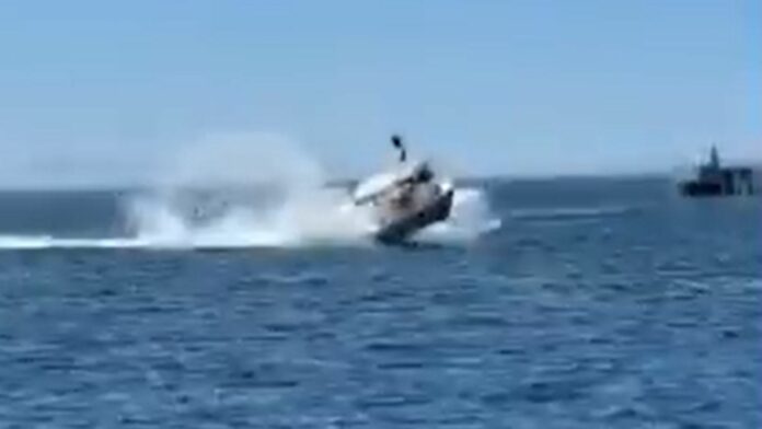 Choque entre bote y ballena en Baja California dejó seis lesionados