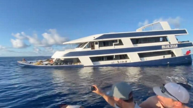 de surfistas en las Maldivas