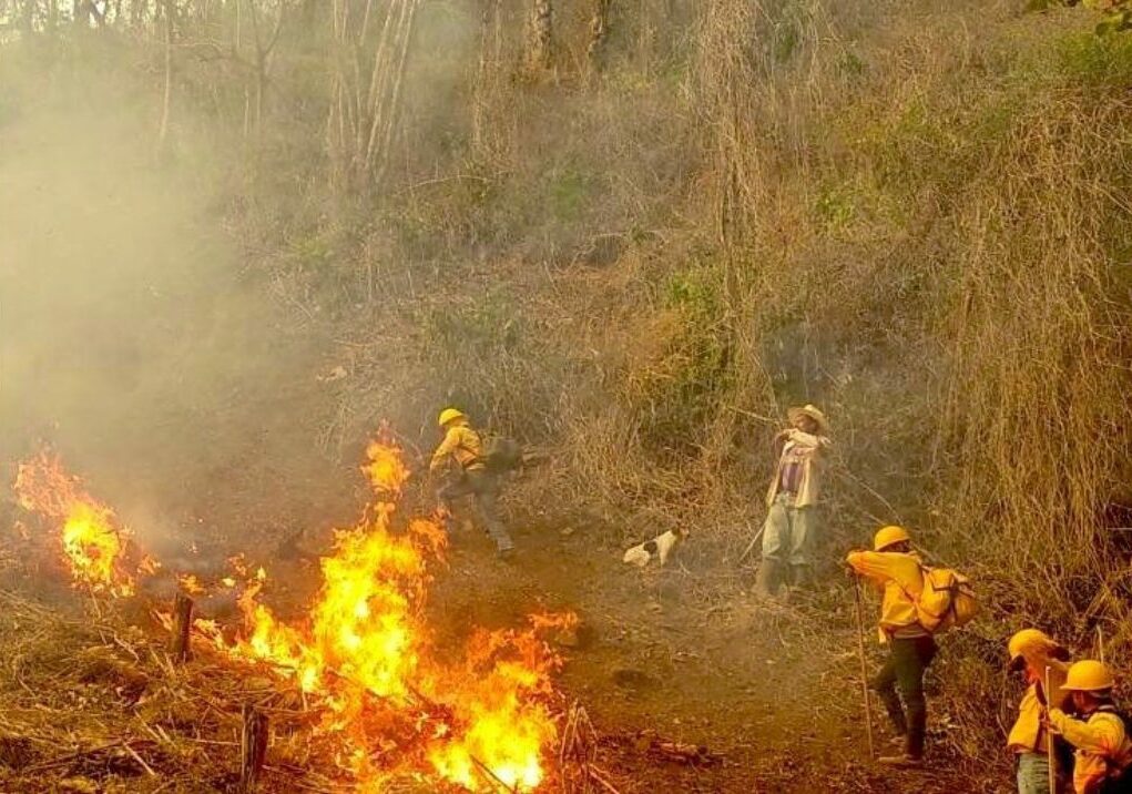 Mueren 4 comuneros en incendio de Oaxaca al intentar sofocarlo