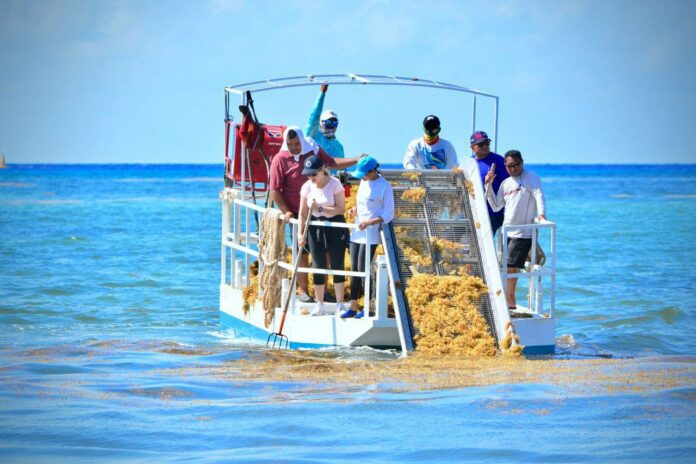 Realizan pruebas con maquinaria y embarcaciones sargaceras, para eficientizar recursos