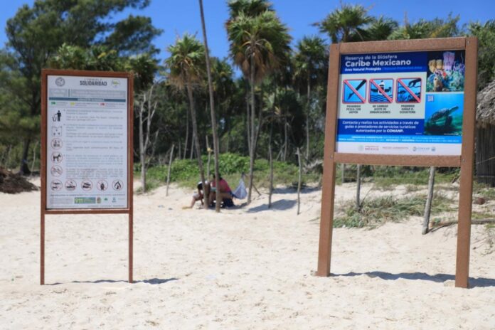Disfrutan bañistas de playas certificadas en Solidaridad