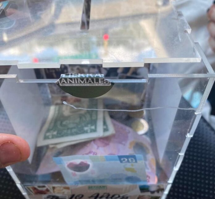 Denuncian a restaurante BaoVegan Cancún por robarse los donativos del santuario Tierra de Animales