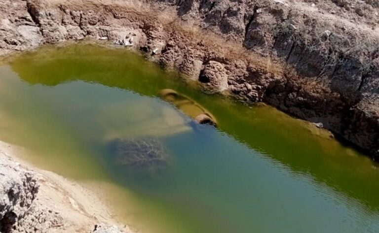 Localizan tres cuerpos en NL de una familia desaparecida desde el año pasado