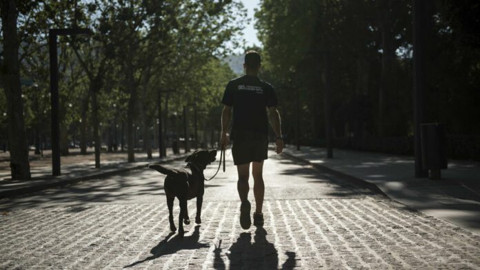 Hombre se quita la vidas tras perder a su perro por envenenamiento