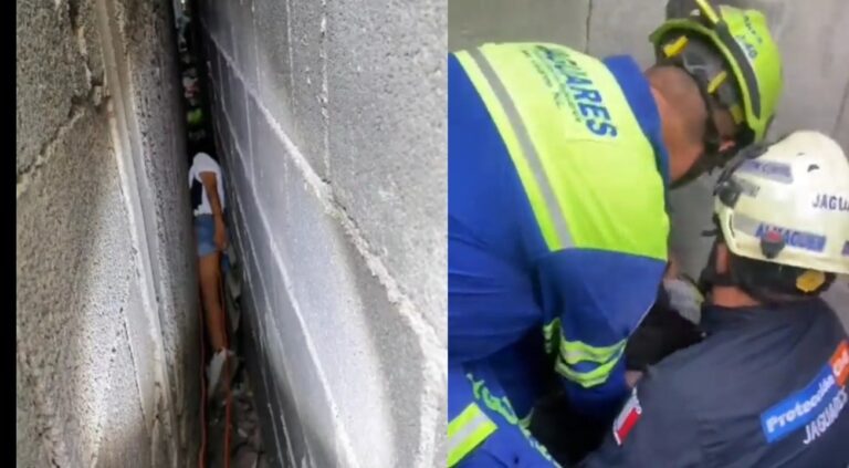 Por internar rescatar a unos gatitos, niña queda atrapada entre paredes
