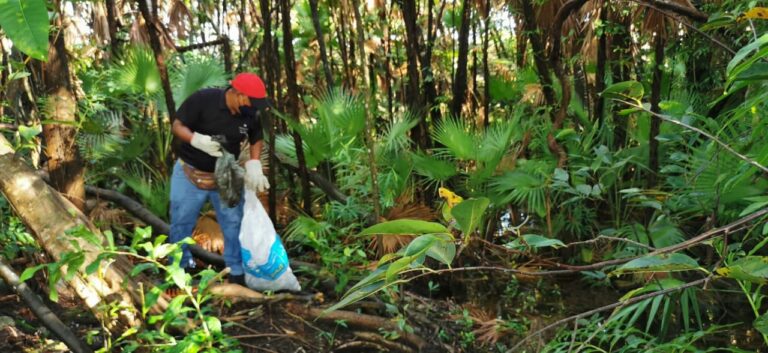 Próxima Jornada de Saneamiento de Humedales en la SM 233