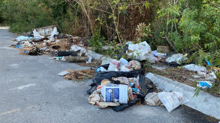 Avanzan en la limpieza de microtiraderos en Playa del Carmen