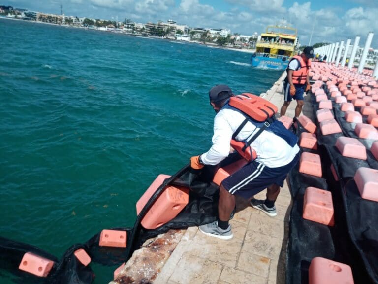 Hoy han dado inicio los trabajos para la colocación de las barreras contra el sargazo en Playa del Carmen. Foto: Gobierno de Solidaridad