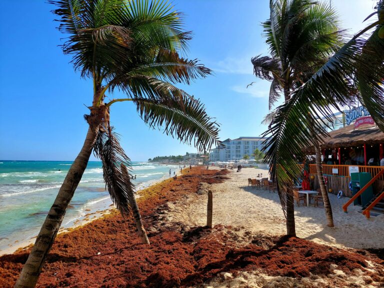 Clima no permite la instalación de barrera sargacera