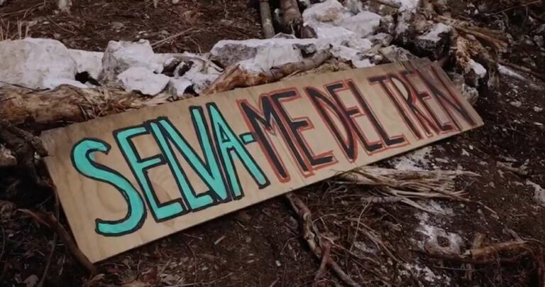 Lanzan página apócrifa de “Selvame del tren”