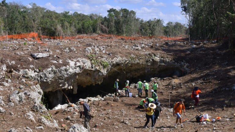 SEMARNAT reconoce que no hay Manifestación de Impacto Ambiental para el Trazo 5 del Tren Maya