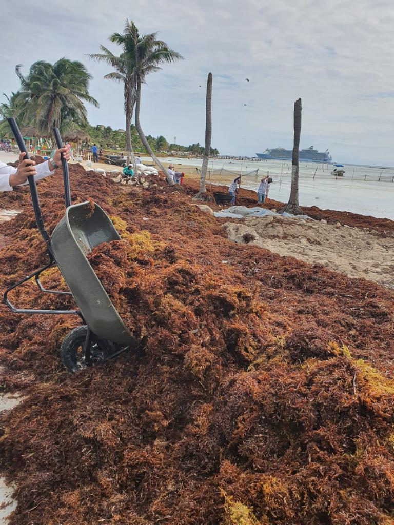 Empresarios califican de errada la estrategia de la Marina en Mahahual