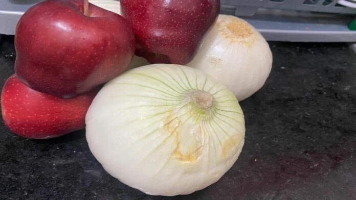 Buscarán impulsar la creación de más huertos orgánicos en Playa del Carmen para la reducción de basura