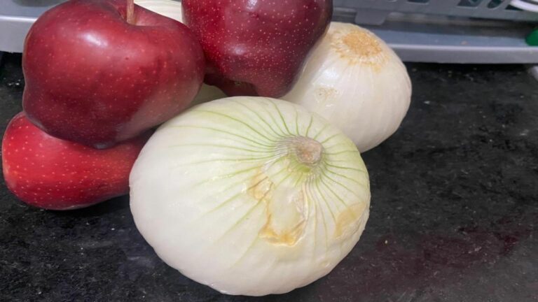 Buscarán impulsar la creación de más huertos orgánicos en Playa del Carmen para la reducción de basura