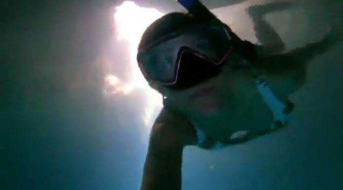 Un video muestra parte de las bellezas naturales de Quintana Roo que según los ambientalistas podrían ser afectadas por el Tren Maya. Foto: Captura de video