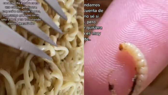 Video: Descubre enormes gusanos en su sopa instantánea