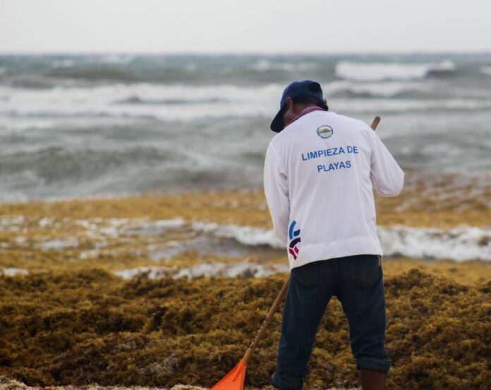 Refuerzan trabajos de limpieza en playas de Solidaridad