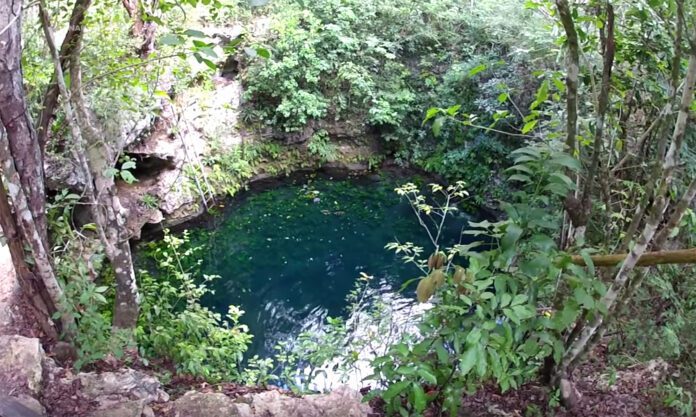 Invitan a próxima limpieza de cenotes en Benito Juárez
