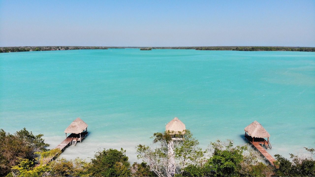 ESPECIAL INDUSTRIA MADERERA: Sur de Quintana Roo, con alta vocación forestal pero abandonado