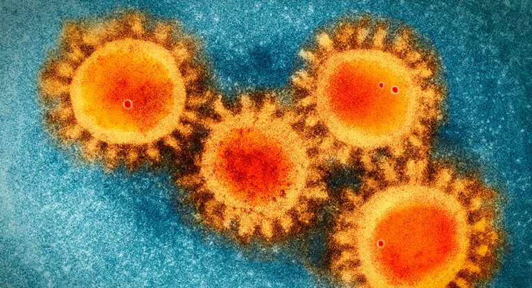 CORONAVIRUS MERS, más letal que Covid-19, reaparece en Qatar y Omán: OMS