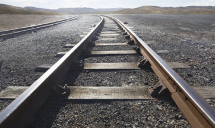 Niños fallecen arrollados cuando intentaban salvar a su perro