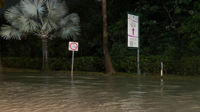 Playa del Carmen, preparada para temporada de huracanes; ya se realiza la lista de refugios, en caso de necesitarse