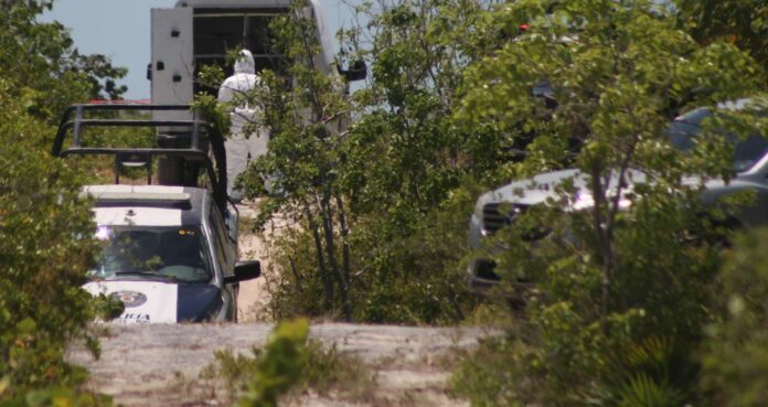 Hallan dos cuerpos en estado de descomposición en Isla Blanca