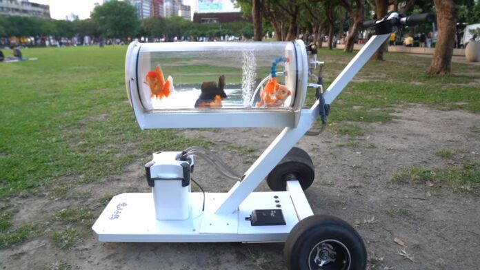 Video: Hombre crea pecera 