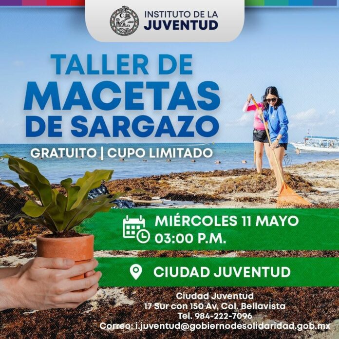 Invitan a la gente de Solidaridad para que acudan a un taller de aprovechamiento del sargazo; buscan elaborar macetas con el alga. Foto: Gobierno de Solidaridad