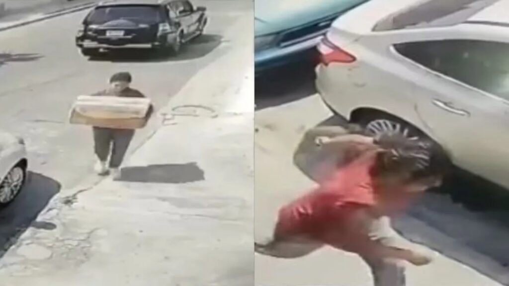 Video: Captan a mujer en CDMX que abandonó cachorros en una caja de cartón