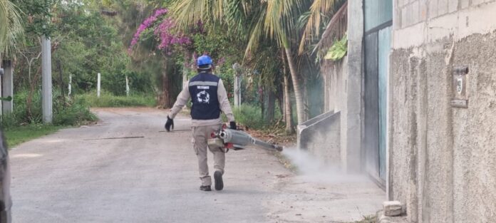 Quintana Roo lleva 3 años libre de paludismo y no baja la guardia, fortalece sus acciones preventivas