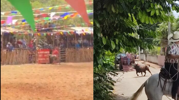 Video: Toro se escapa de una corrida en la feria de Chumayel y termina en una casa