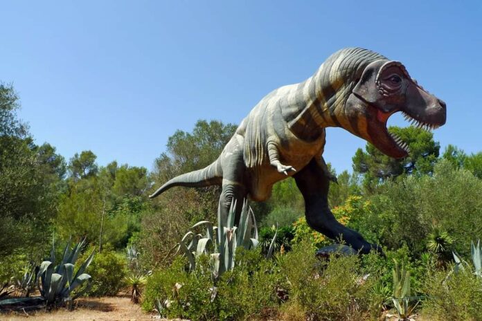 Listo el Sendero Jurásico en Chicxulub, Yucatán