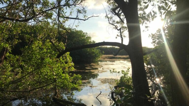Reapertura Planetario de Playa del Carmen su sala de Realidad Virtual