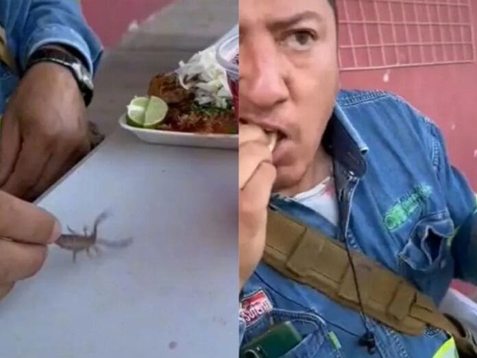 Electricista presume un taco de birria con un alacrán vivo