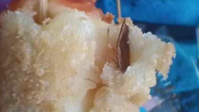 Mujer compra comida china en Veracruz, le aparece una cucaracha y le dicen la verdad