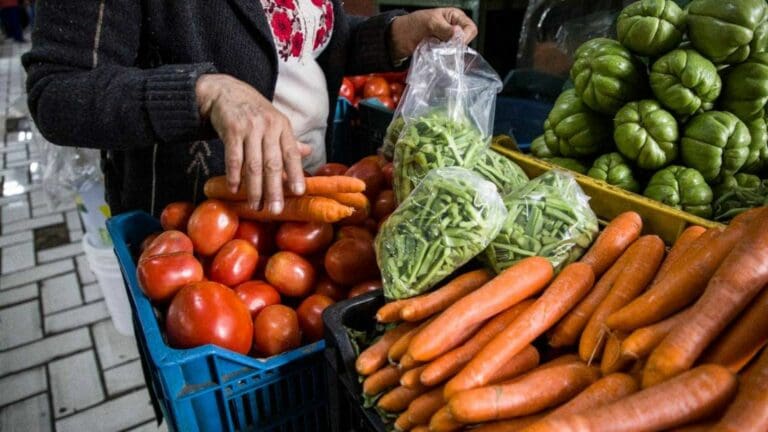 Cuatro de 10 mexicanos no tienen acceso a la canasta básica alimenticia; DIF Solidaridad busca reducir dicho porcentaje