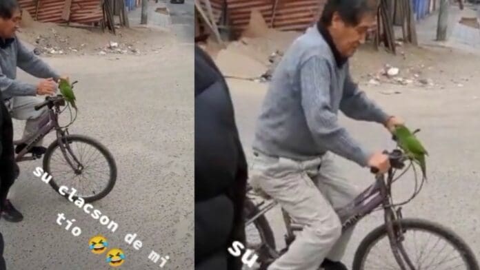 Video: Abuelito pasea con su loro en bici y lo usa como 