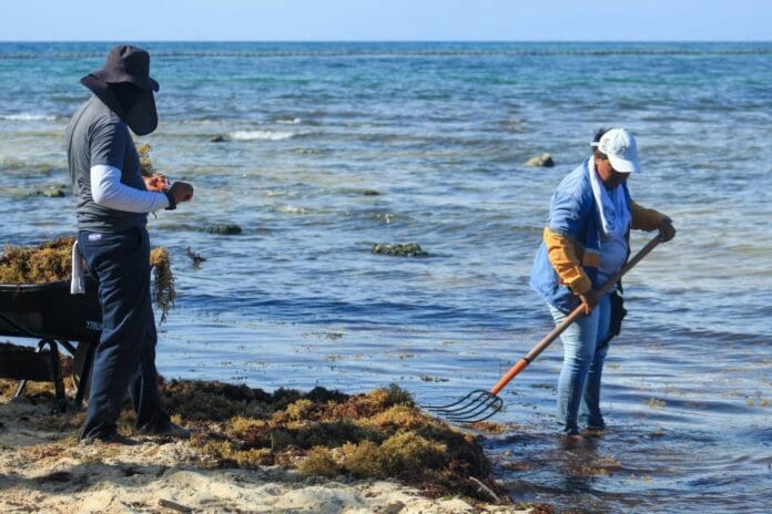 Gobierno municipal continúa con limpieza de playas