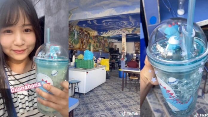 Japonesa se hace viral en TikTok por su reacción al entrar a una pulquería de México