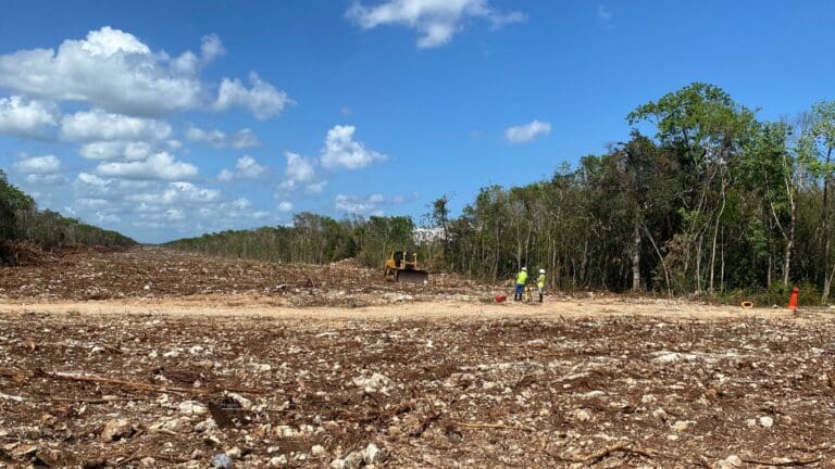 Fonatur, en espera que Semarnat apruebe la ruta del Tramo 5 Sur para continuar obras Tren Maya que se habían detenido