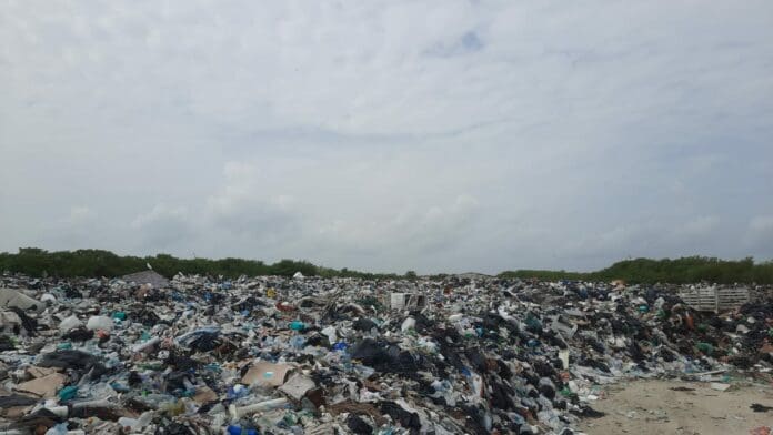 Advierten daño ecológico en Holbox, por saturado centro de transferencia