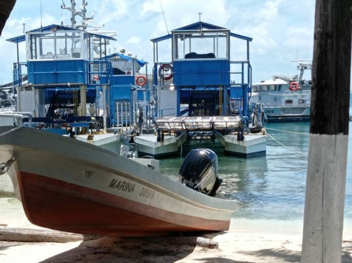  Mantiene Marina tres sargaceras detenidas en Isla Mujeres