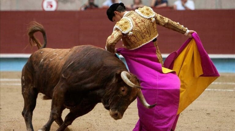 SCJN establece que las corridas de toros no pueden ser consideradas patrimonio cultural