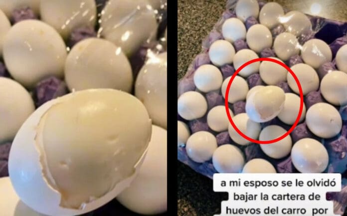 Video: Olvida los huevos dentro de carro y terminan hervidos por el calor en Mexicali