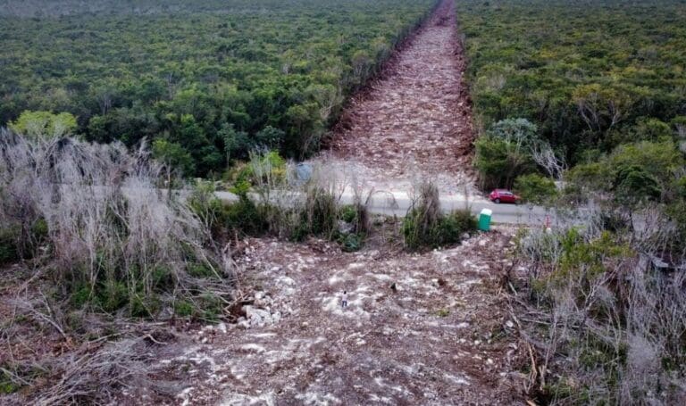 Fonatur confirma que no hay una MIA general sobre el Tren Maya