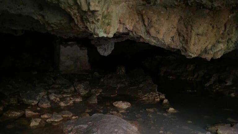 Buscan concientizar a la población para que no tire basura en los cenotes urbanos de Playa del Carmen