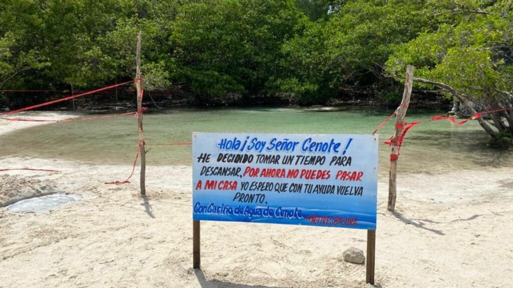 Cenote de Playa Esmeralda recupera su flora y fauna; abrirá exclusivamente en días feriados y vacaciones