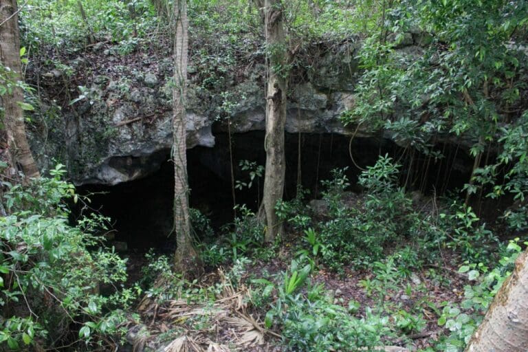 Promueven el Programa “Adoptemos un cenote”